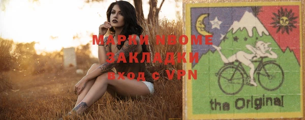 индика Заволжск