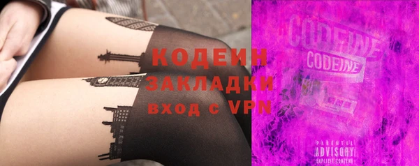 индика Заволжск