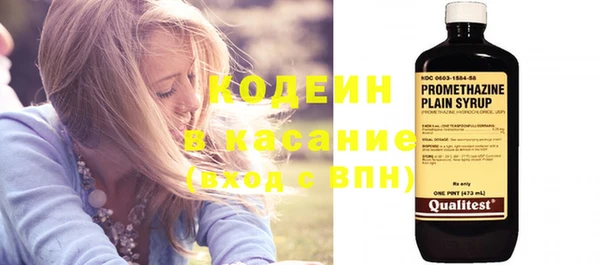 индика Заволжск