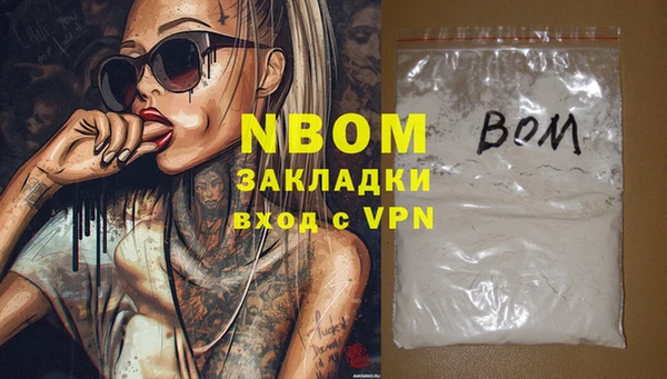 индика Заволжск