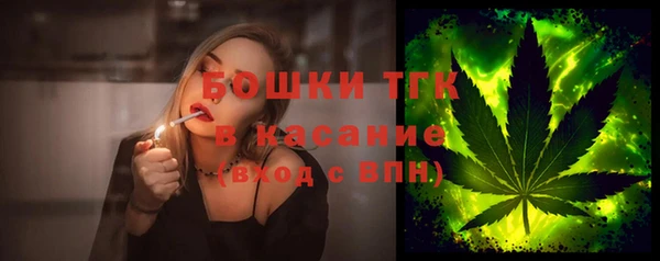 индика Заволжск
