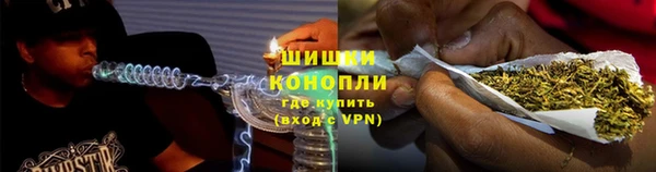 индика Заволжск