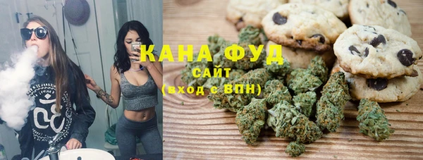 индика Заволжск