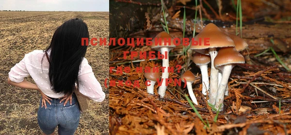 кокаин VHQ Заводоуковск
