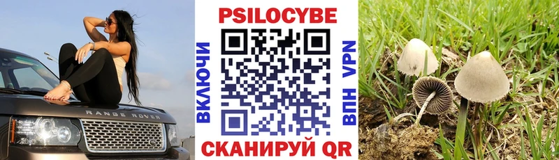 Галлюциногенные грибы MAGIC MUSHROOMS  Серпухов 